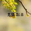 皇冠國際娛樂城 最新優惠大公開