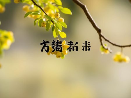 皇冠國際娛樂城 最新優惠大公開