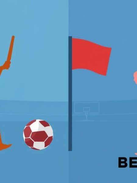 皇冠体育的优势与劣势