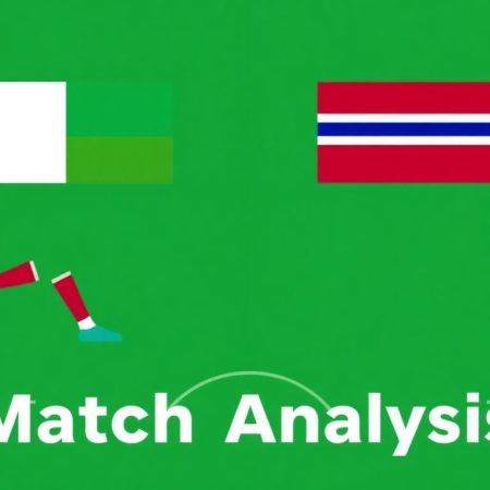 2022年國際足球比賽現場分析