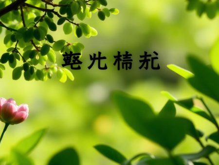 皇冠體育翻新：為您帶來全新的運動體驗