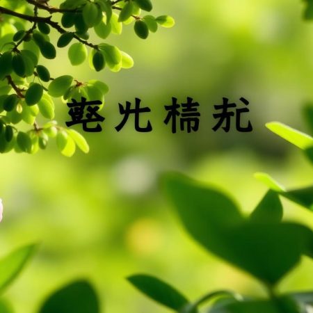 皇冠體育翻新：為您帶來全新的運動體驗